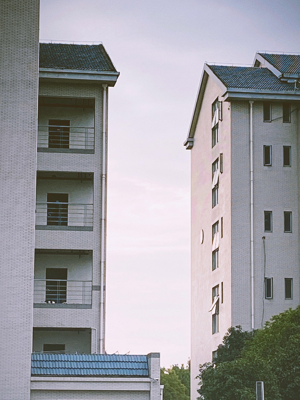 Meridian Orchard
